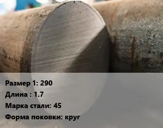 Поковка круглая 290 L=1.7 Сталь: 45 круг